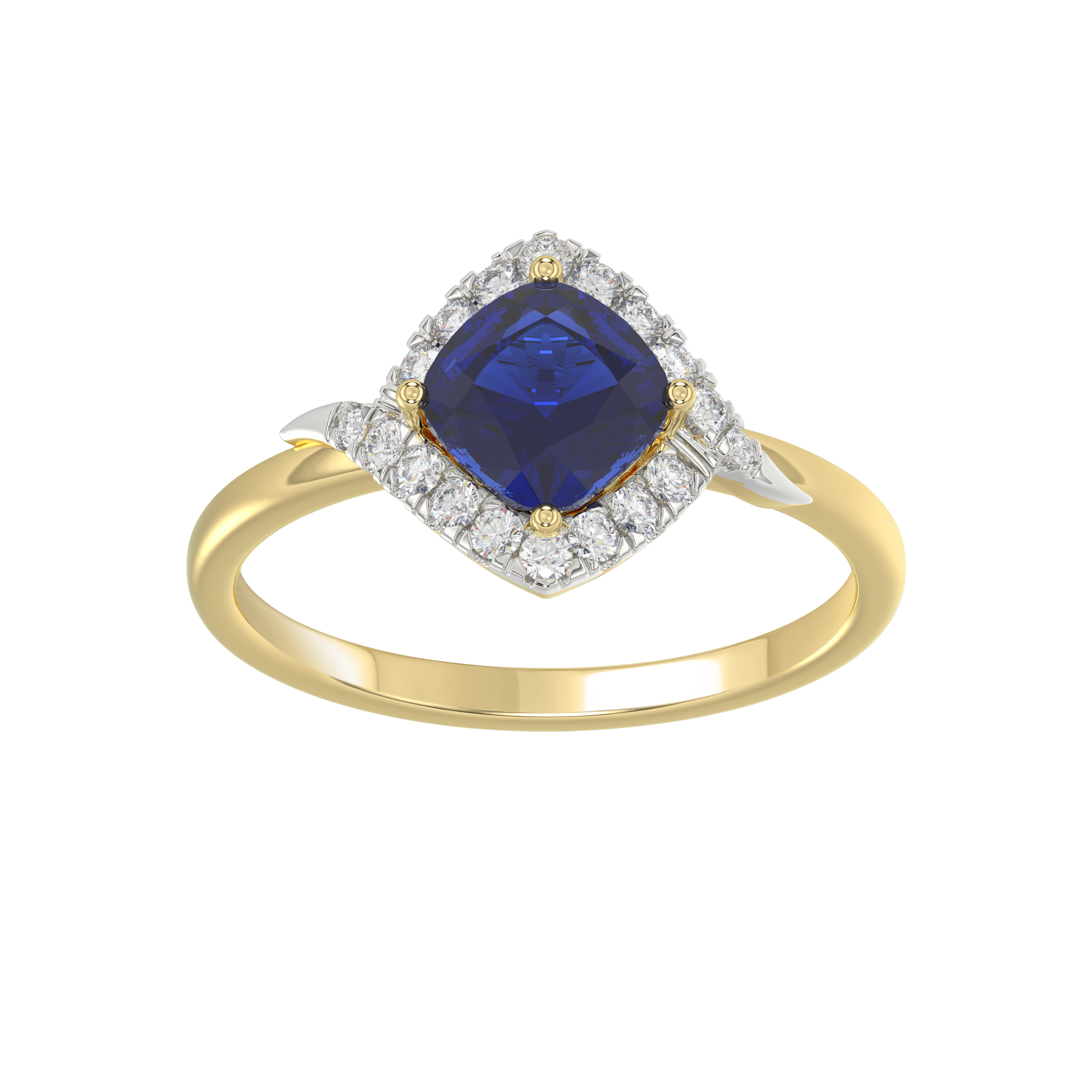 EU 806527Y 3D scaled