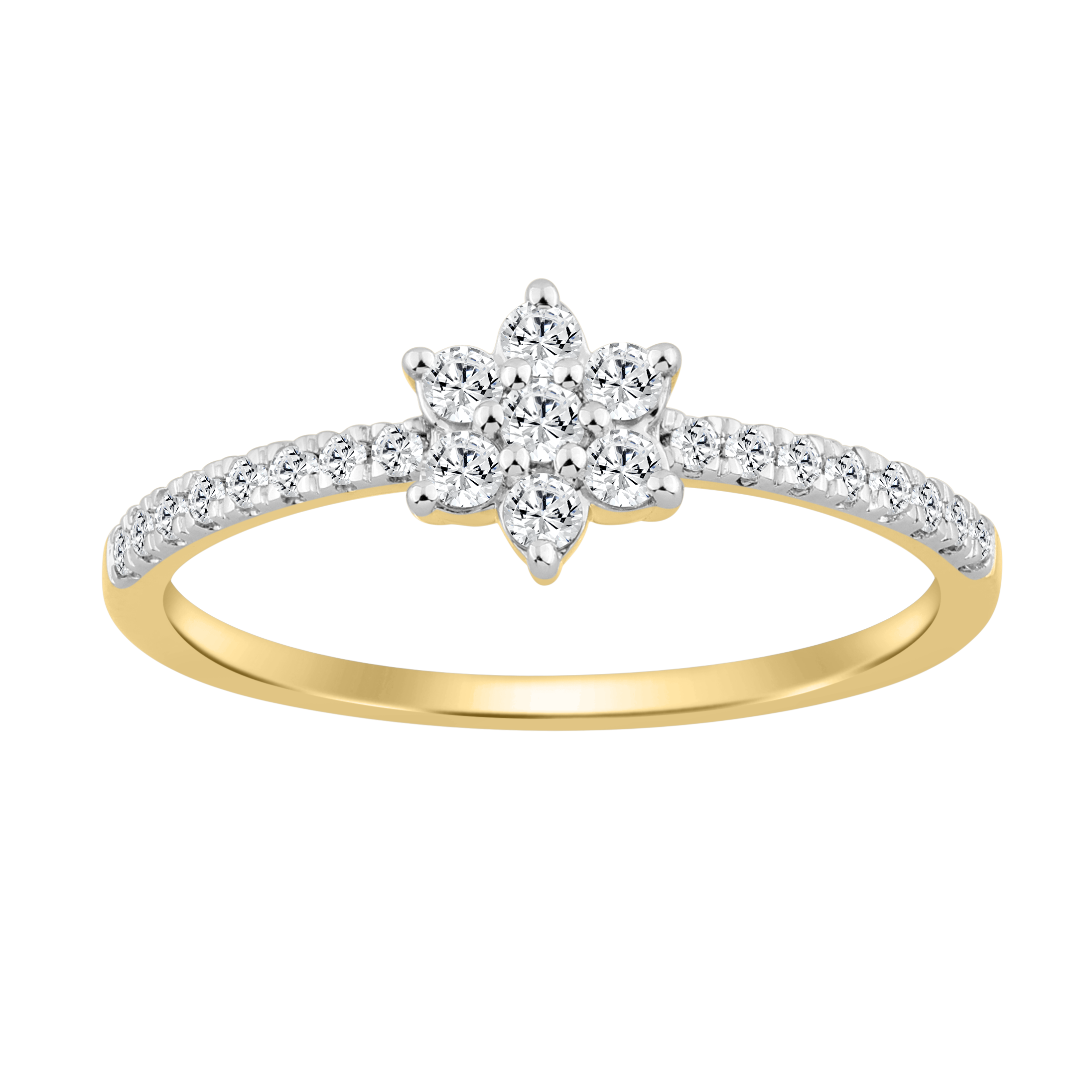 EU 807517Y VALRG12043